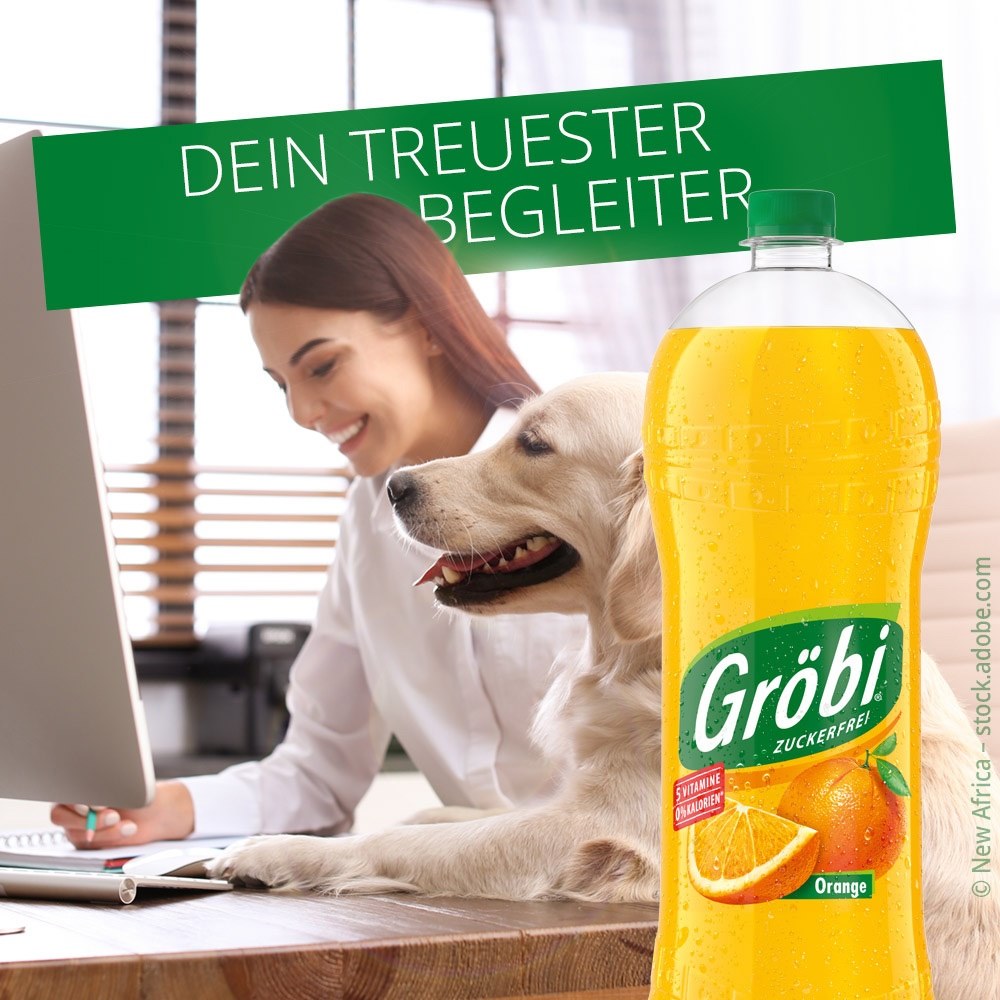 groebi_treuester_begleiter